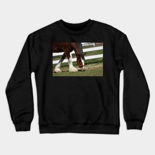 Clydesdale Crewneck Sweatshirt